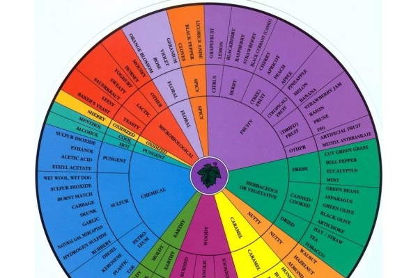 Aroma Wheel (Ann. C. Noble)